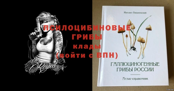 соль курить ск Арсеньев