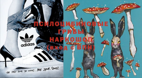 дживик Армянск