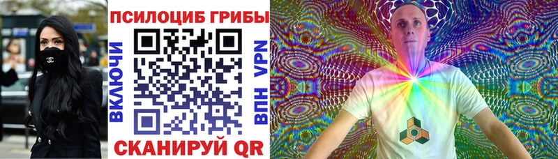Псилоцибиновые грибы Cubensis блэк спрут маркетплейс Обоянь
